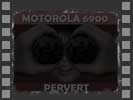 Motorola 6900 Perv-Cam